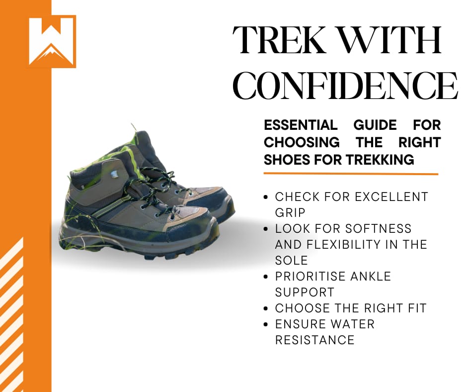 Shoes for Trekking, Your Essential Trekking Shoes Guide