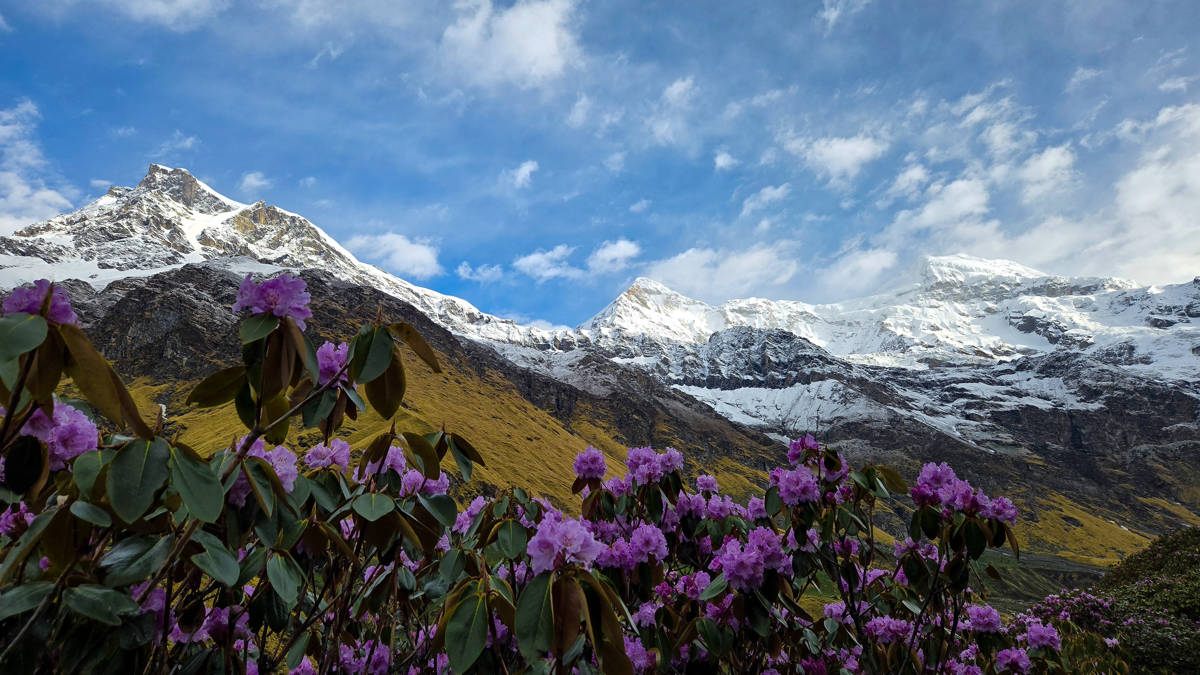 Explore Our Treks