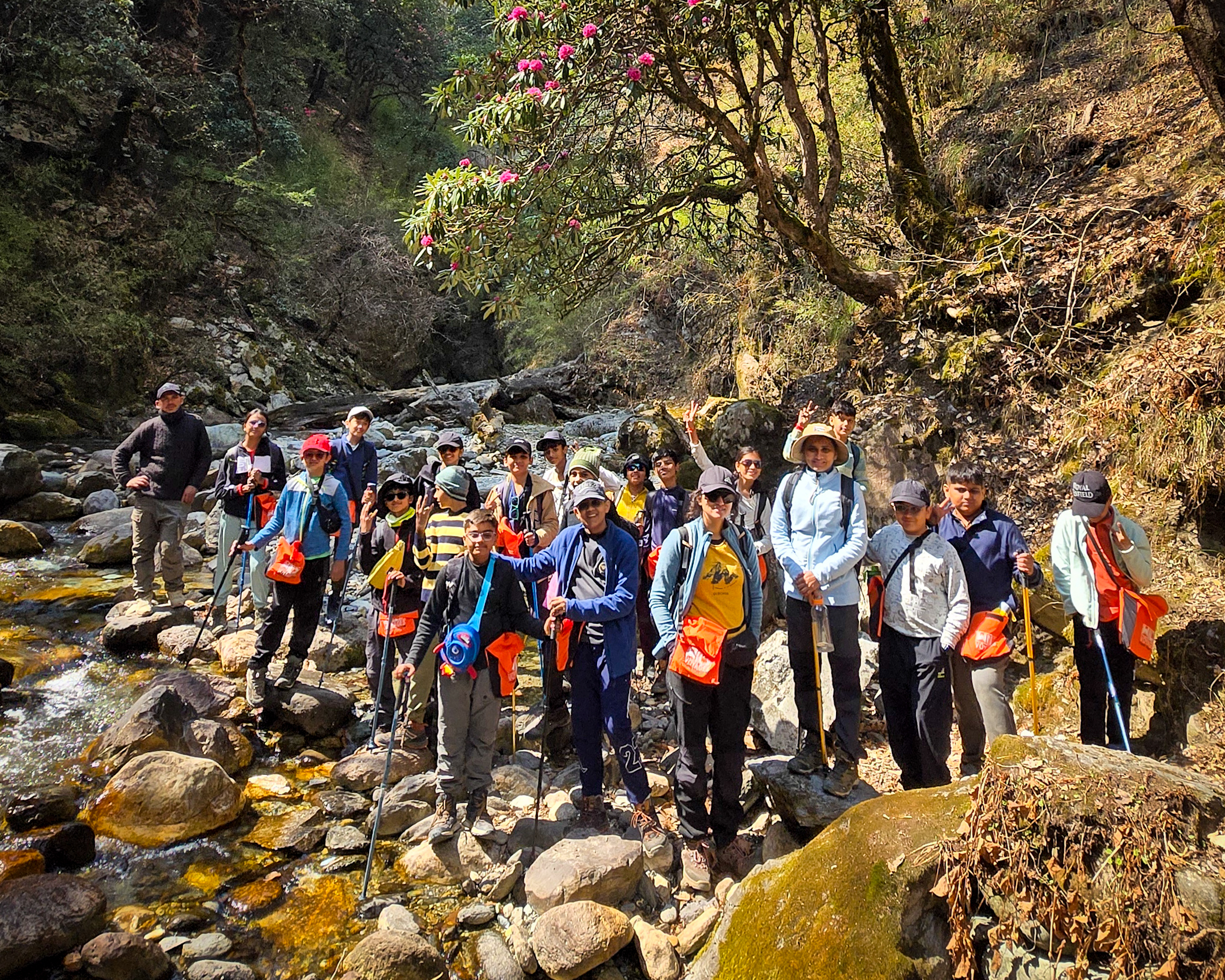Himalayan Camp 1