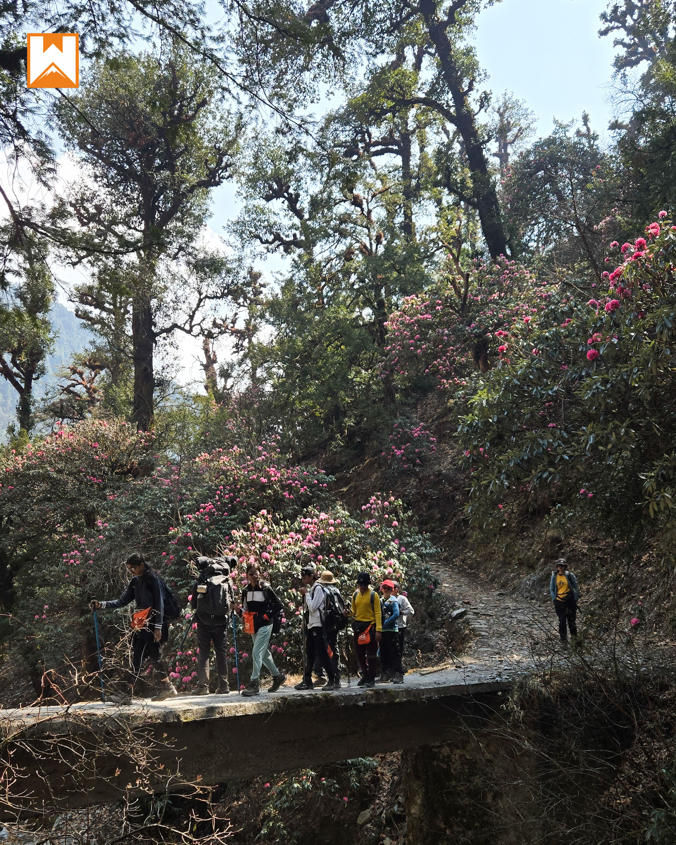 Himalayan Camp 3