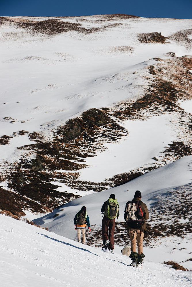 TREKS BY SEASON