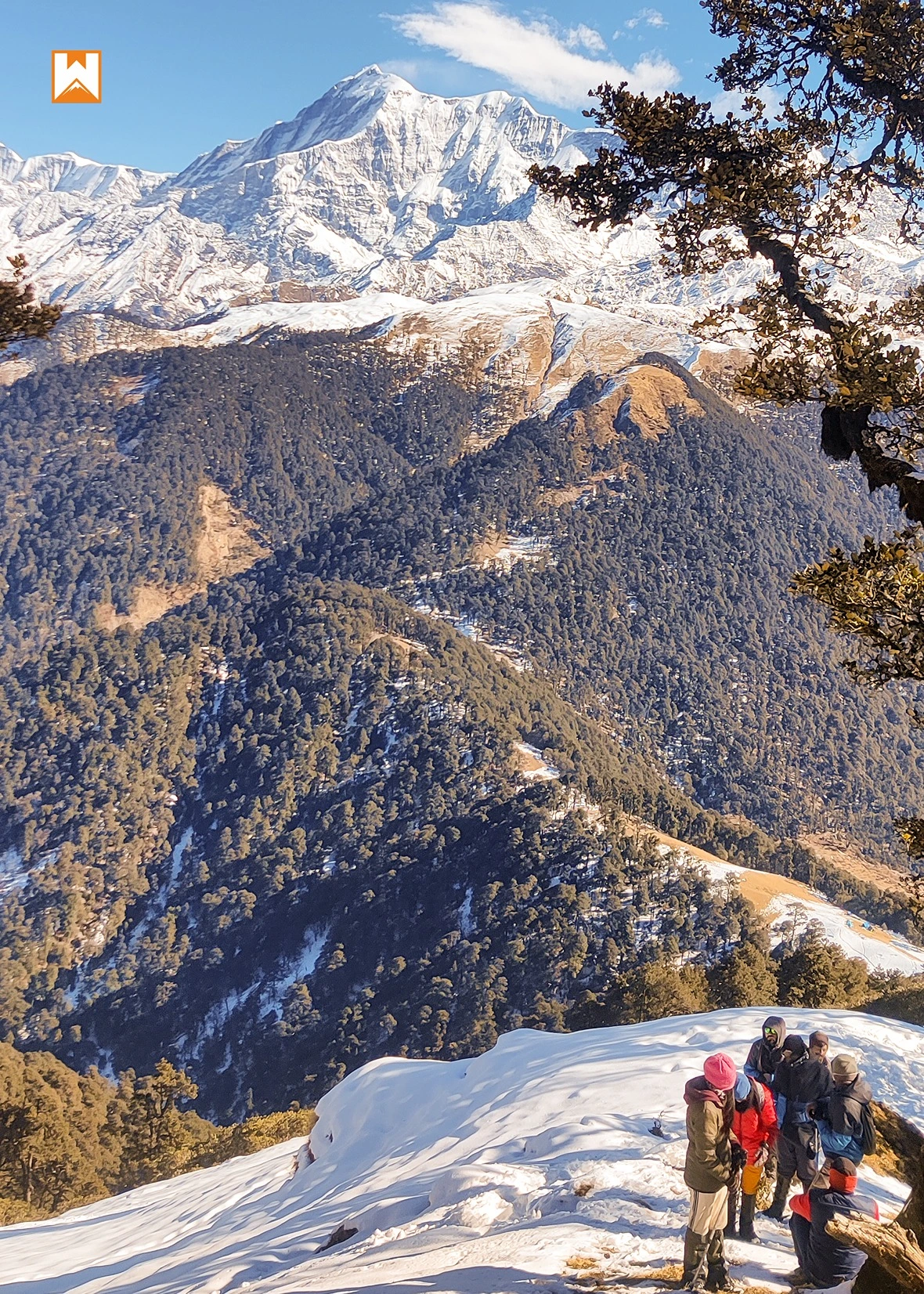 Brahmatal Trek - Image 5