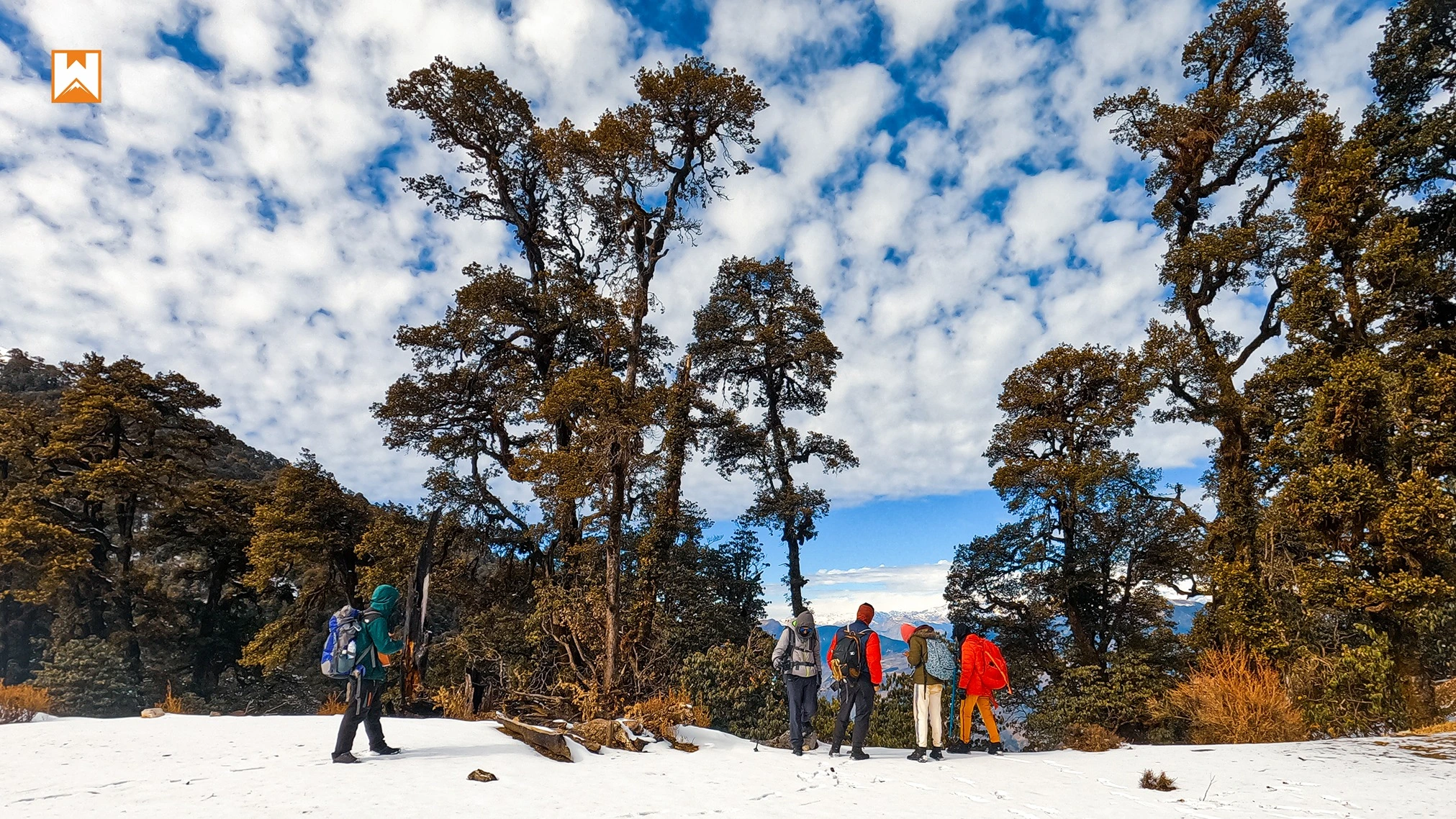 Brahmatal Trek - Image 6