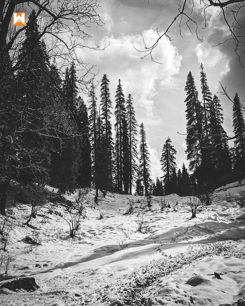 Kedarkantha Trek - Image 8