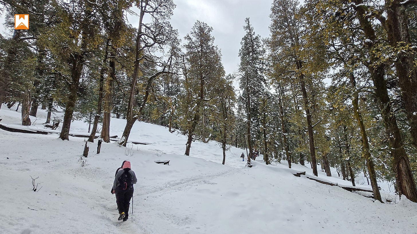 Kedarkantha Trek - Image 13