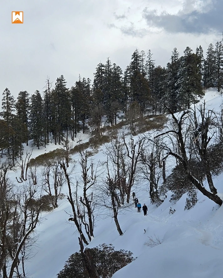 Kedarkantha Trek - Image 8