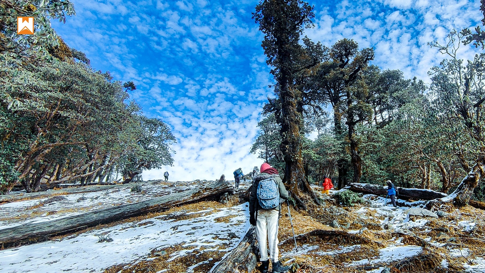 Muniyal Top Trek - Image 1