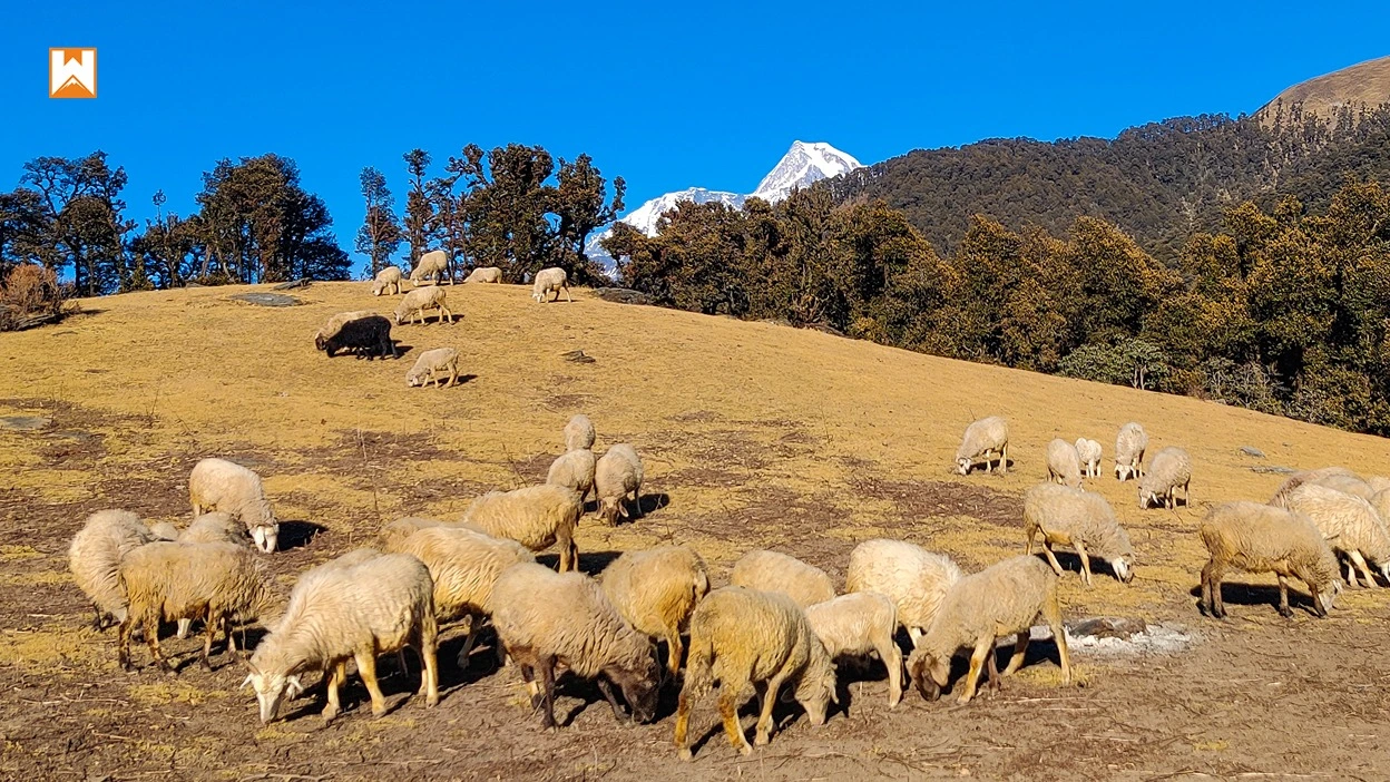 Muniyal Top Trek - Image 14