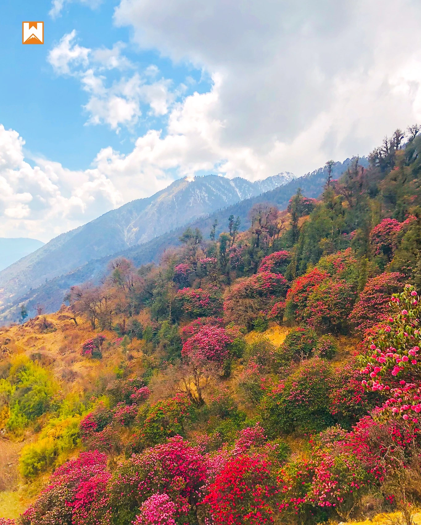 Muniyal Top Trek - Image 4