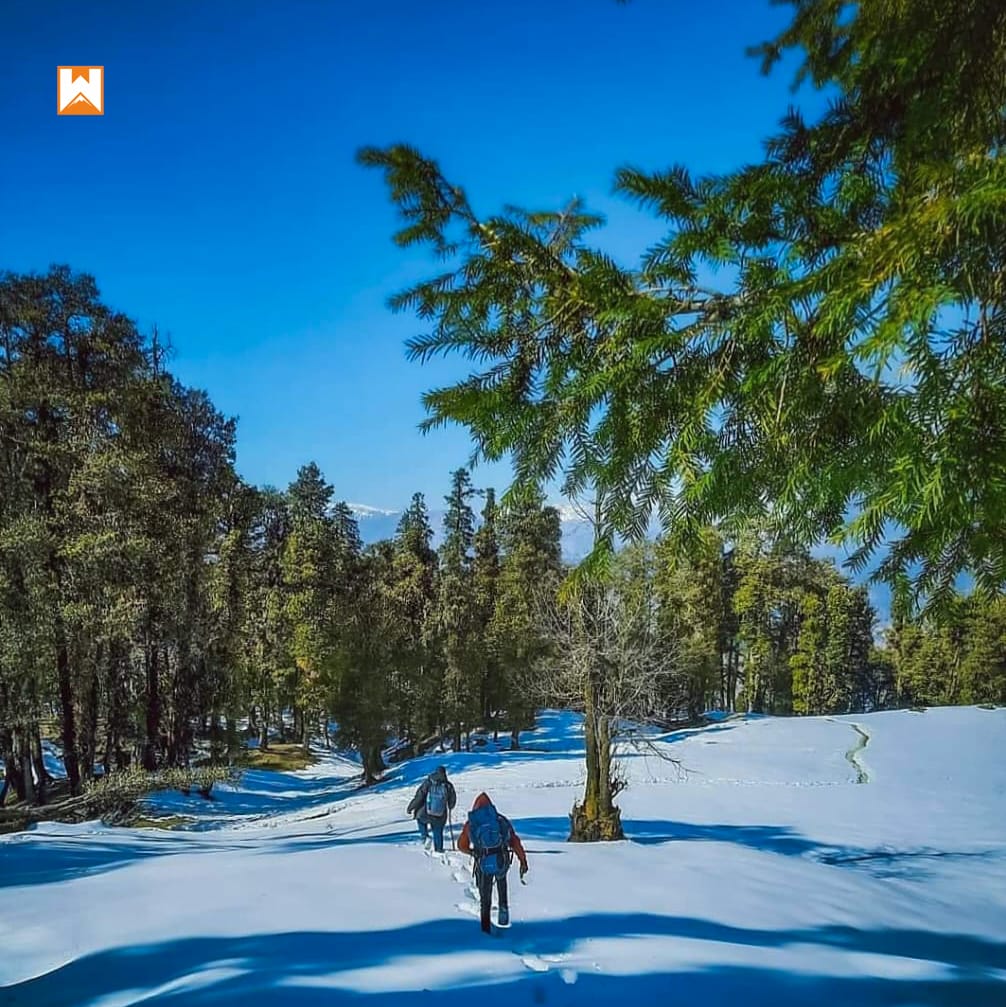 Kedarkantha Trek - Image 1
