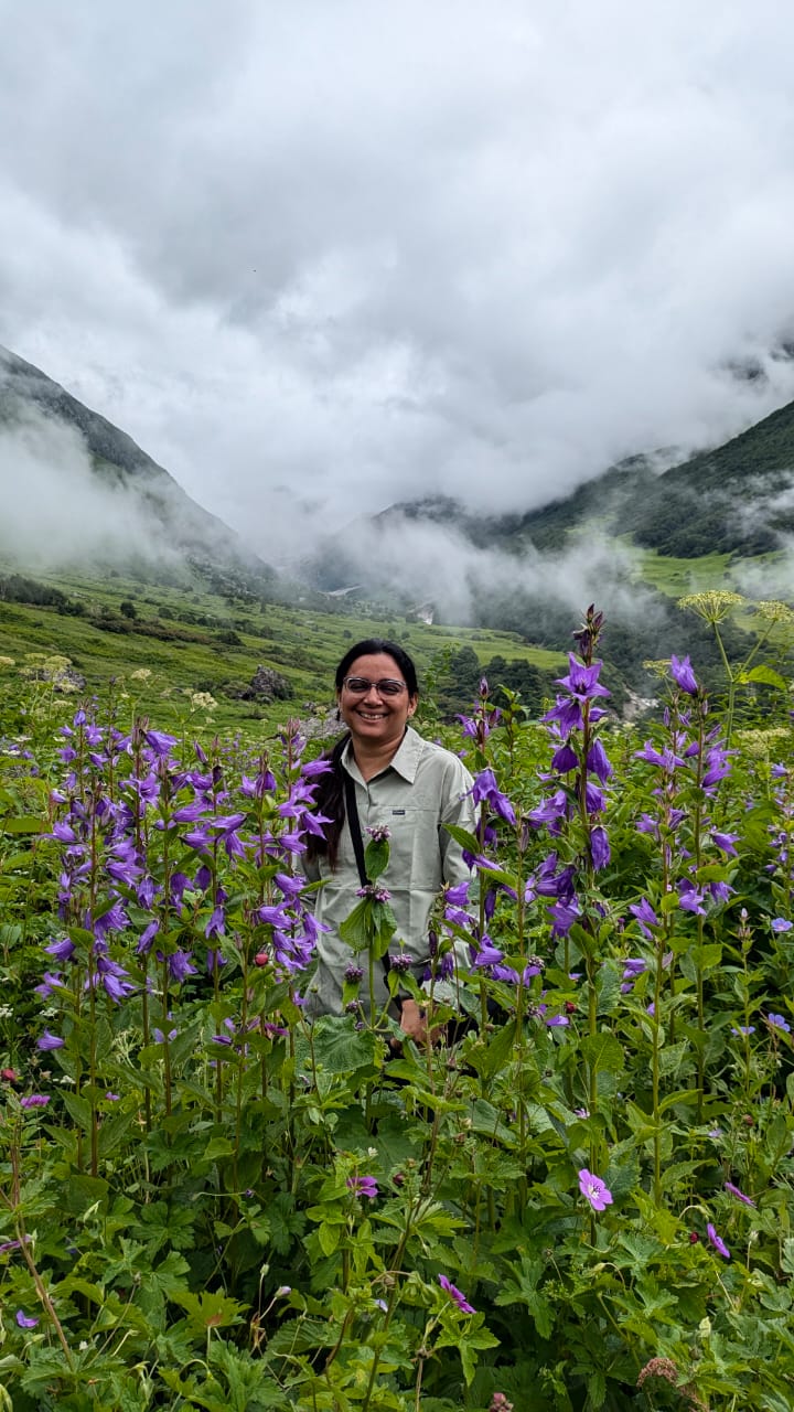 Valley of Flowers - Image 4