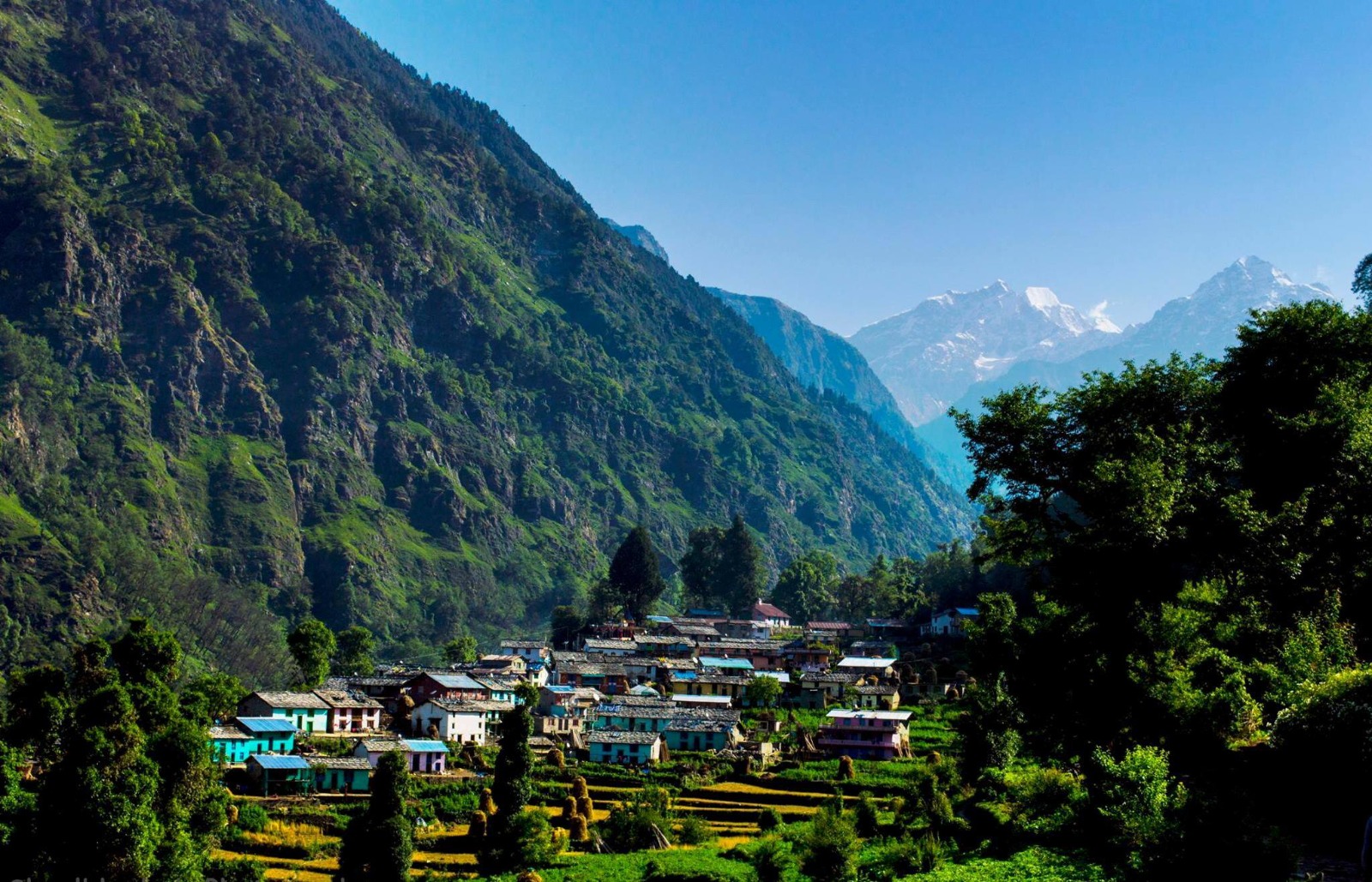 Kedarkantha Trek