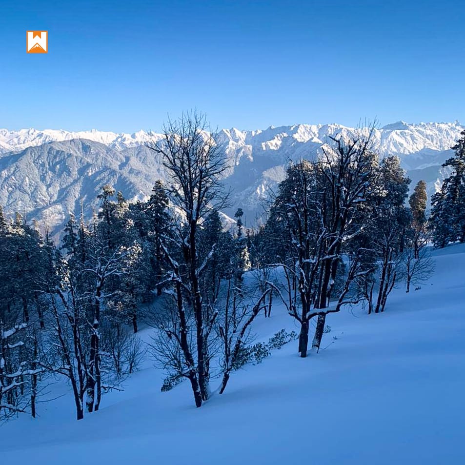 Kedarkantha Trek - Image 6