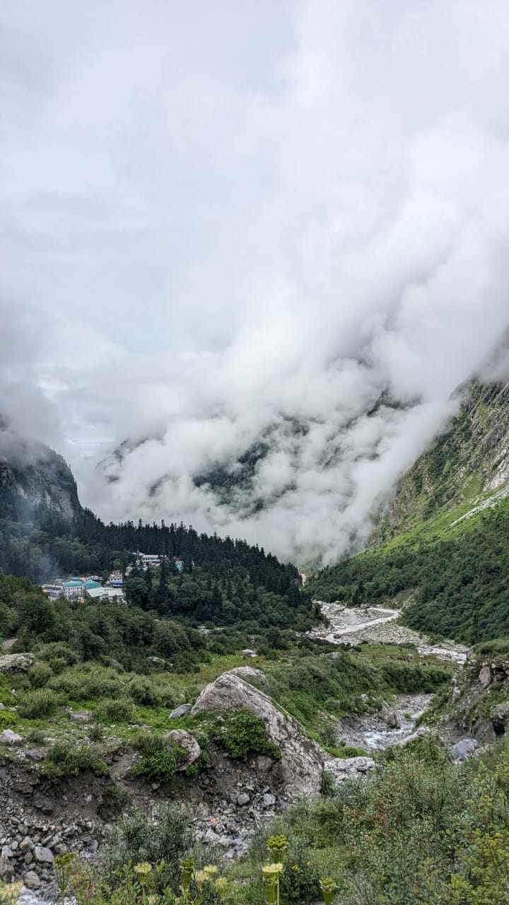Valley of Flowers - Image 2