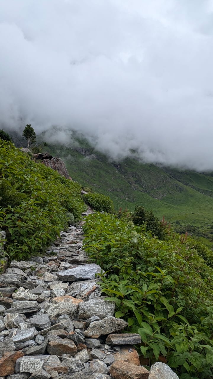 Valley of Flowers - Image 7
