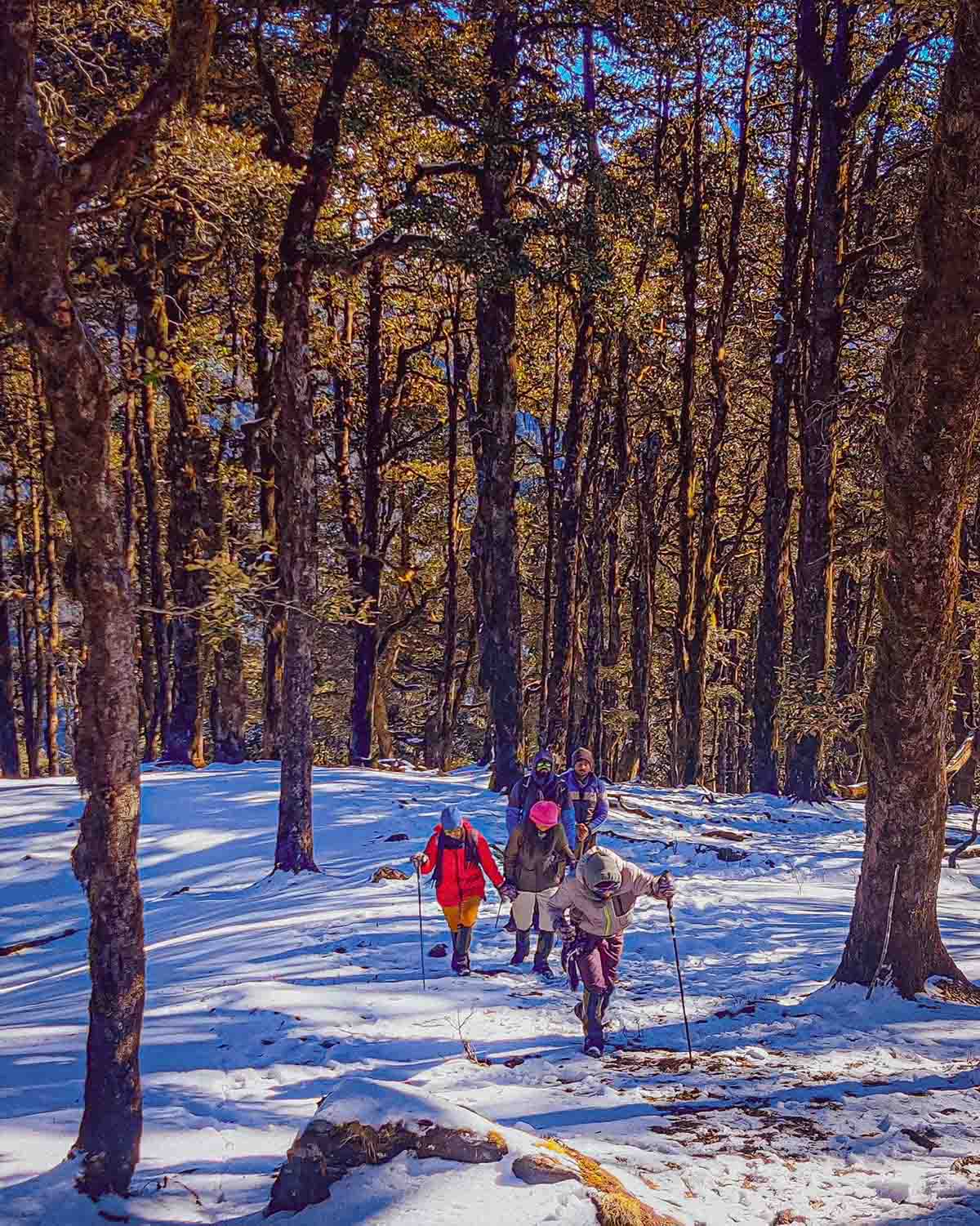 Muniyal Top Trek - Image 1