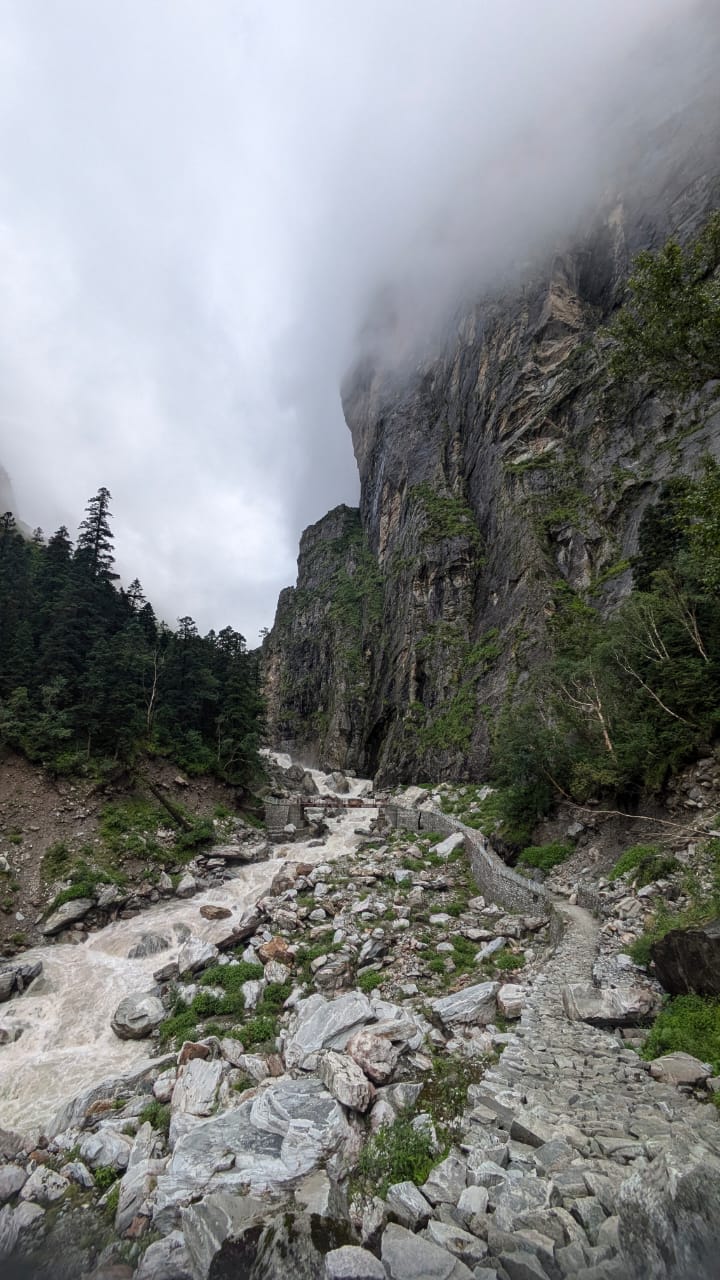Valley of Flowers - Image 3