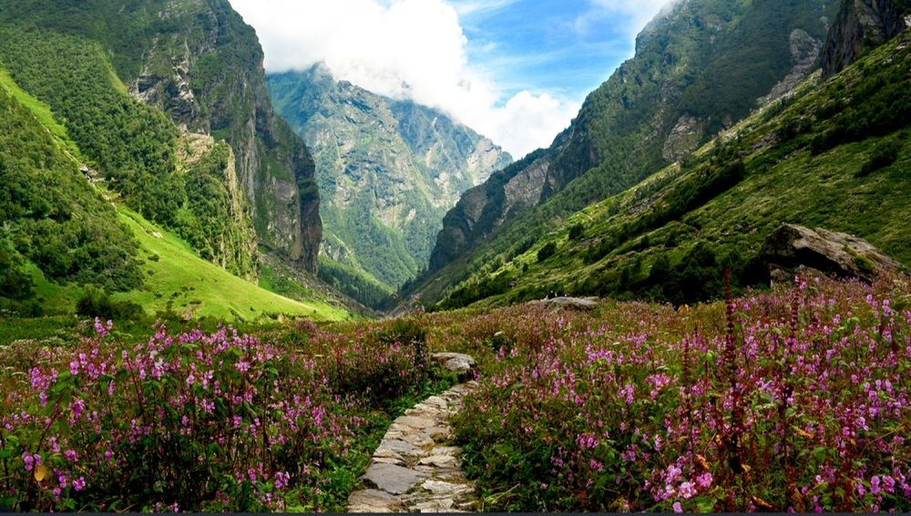 Valley of Flowers
