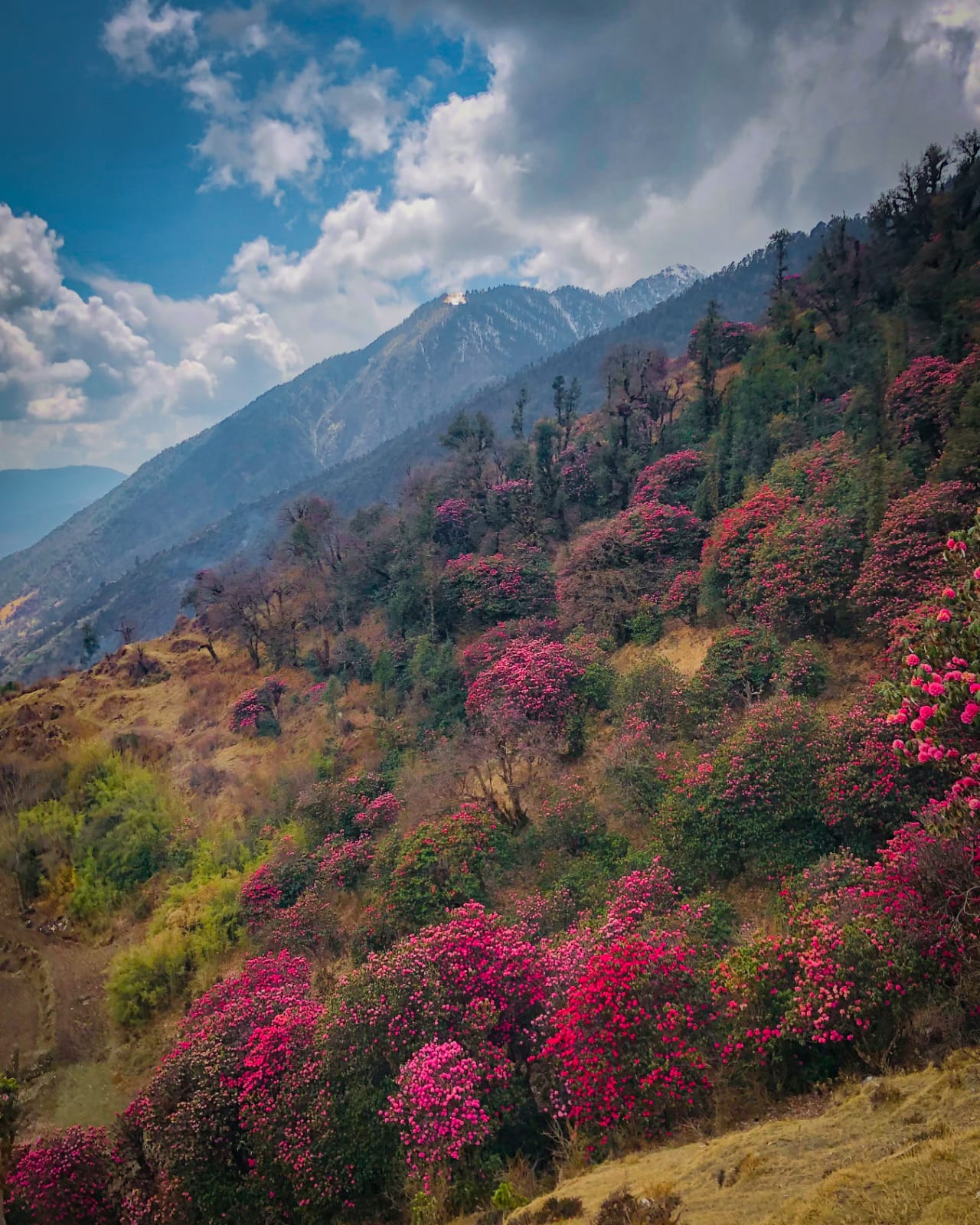 Muniyal Top Trek - Image 6