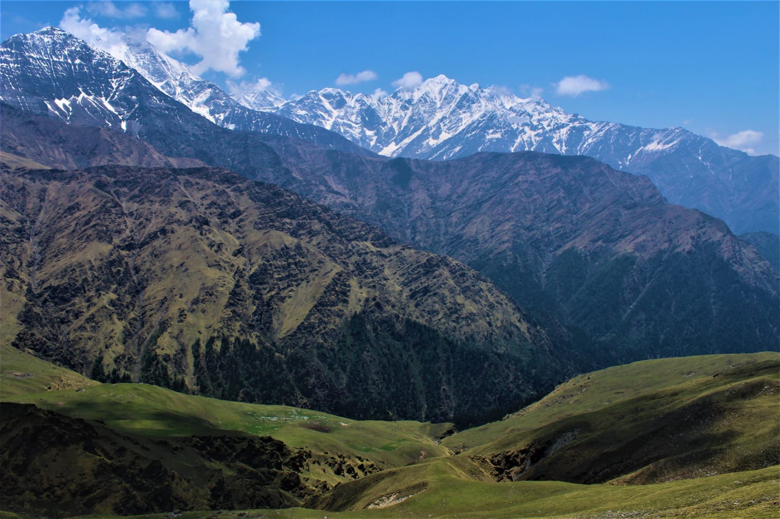 Ali & bedni bugyal trek