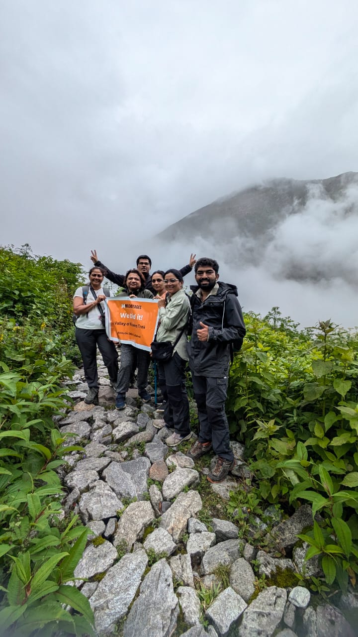 Valley of Flowers - Image 6